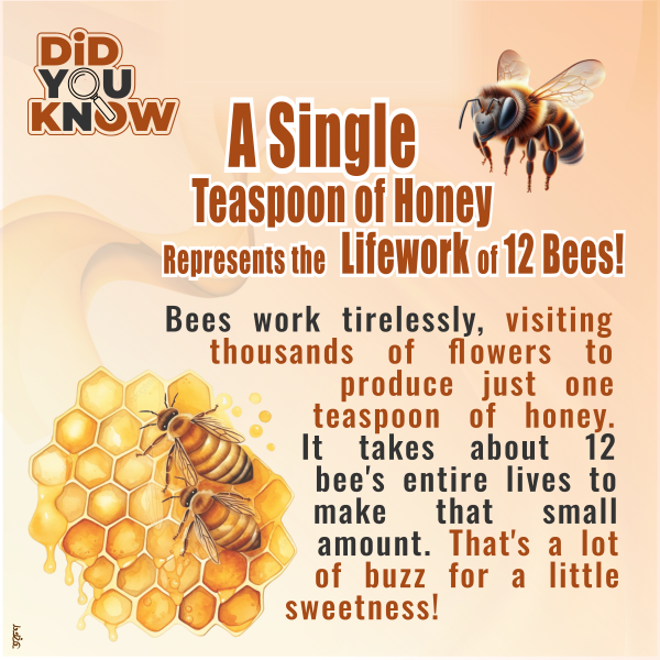 The Lifework Behind a Teaspoon of Honey