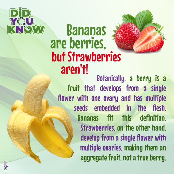 Bananas Are the True Berries