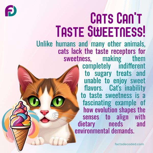 Feline Flavors