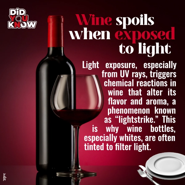 Light Can Spoil Your Wine!