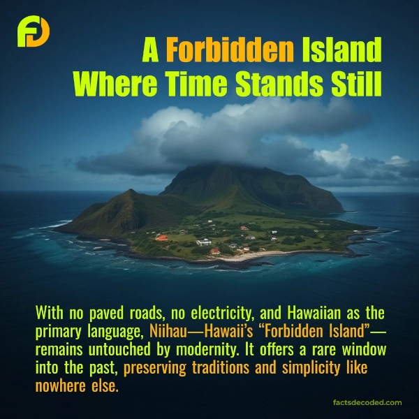 The Forbidden Island