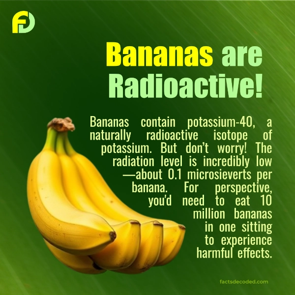 Bananas Are Radioactive