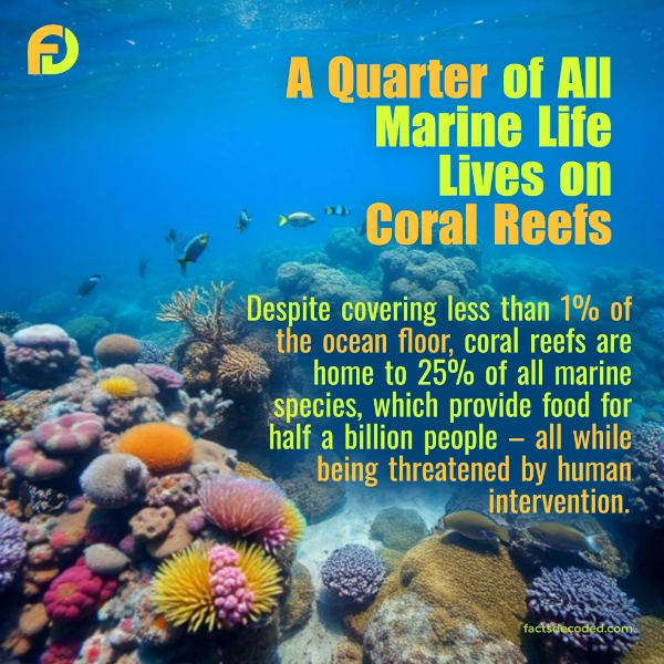 Coral Reefs: Nature’s Underwater Marvels