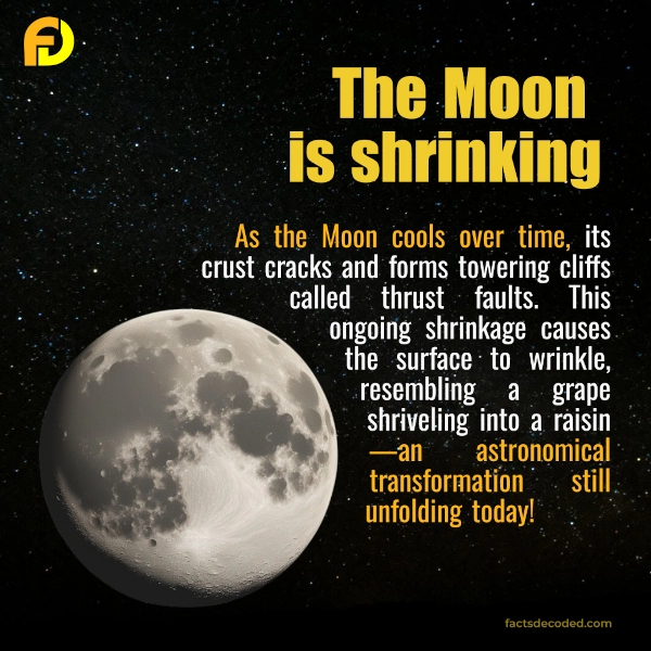 Moon is shrinking